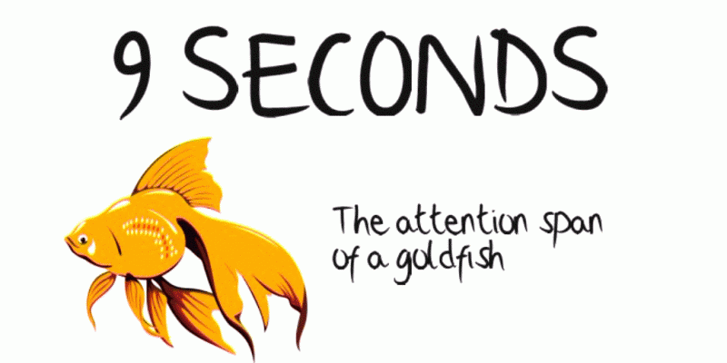 goldfish-attention-span-9-seconds